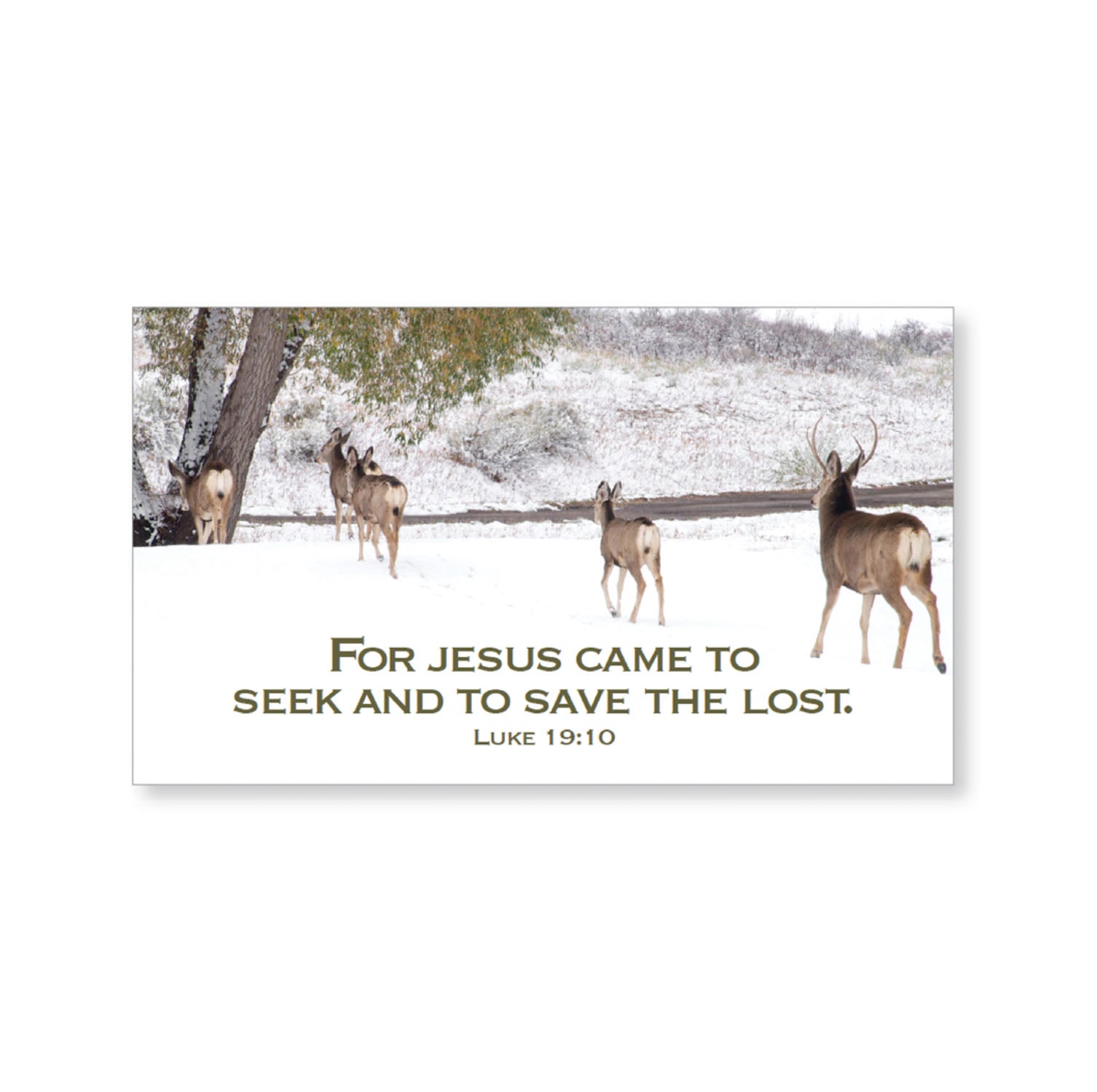 Mini blessings—For Jesus came to seek and to save, with scripture (includes 10 mini cards)