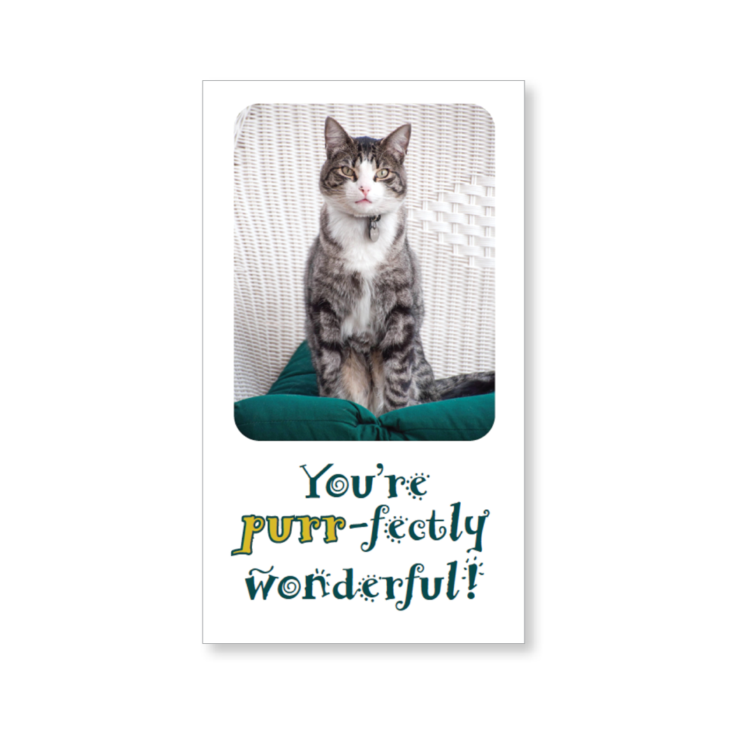 Mini lunch box buddies—You are purr-fectly wonderful! (includes 10 mini cards)