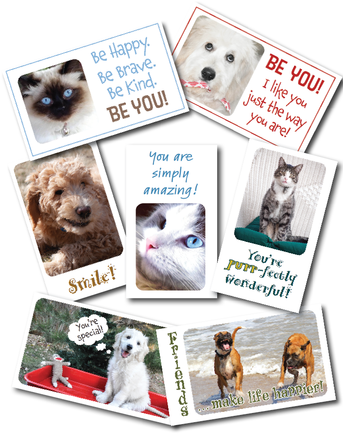 Mini lunch box buddies