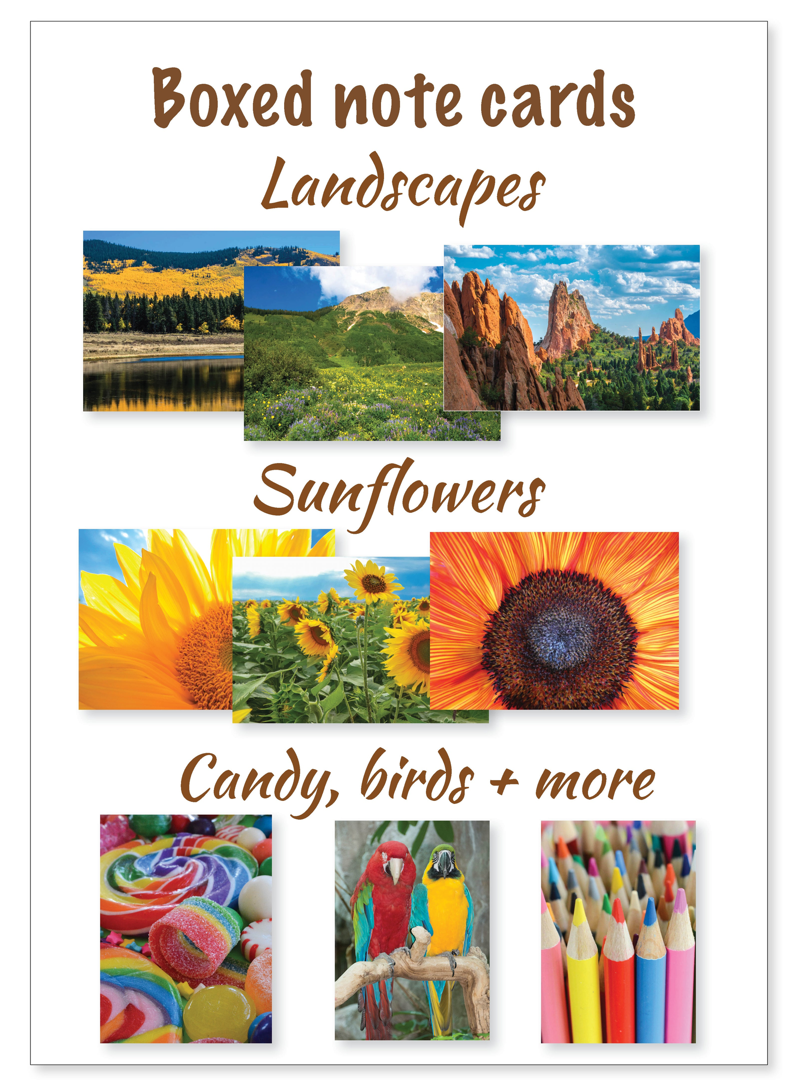 Boxed note cards: landscapes, sunflowers, colorful birds + more
