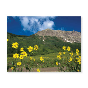 Boxed note cards: landscapes (2nd in series)