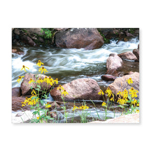 Boxed note cards: landscapes (2nd in series)