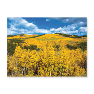 Boxed note cards: landscapes (2nd in series)