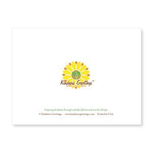 Boxed note cards: landscapes (2nd in series)