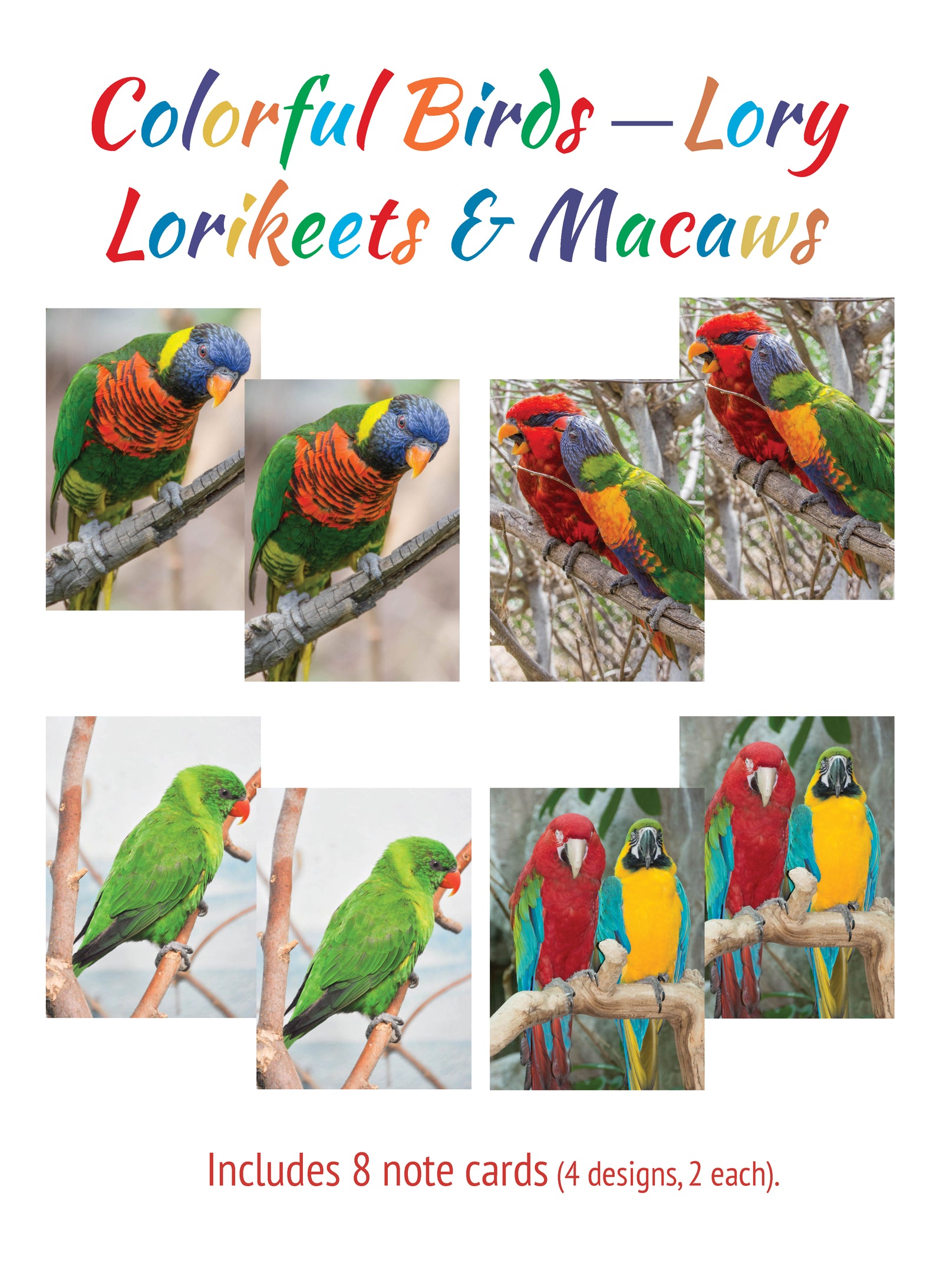Boxed note cards: colorful birds