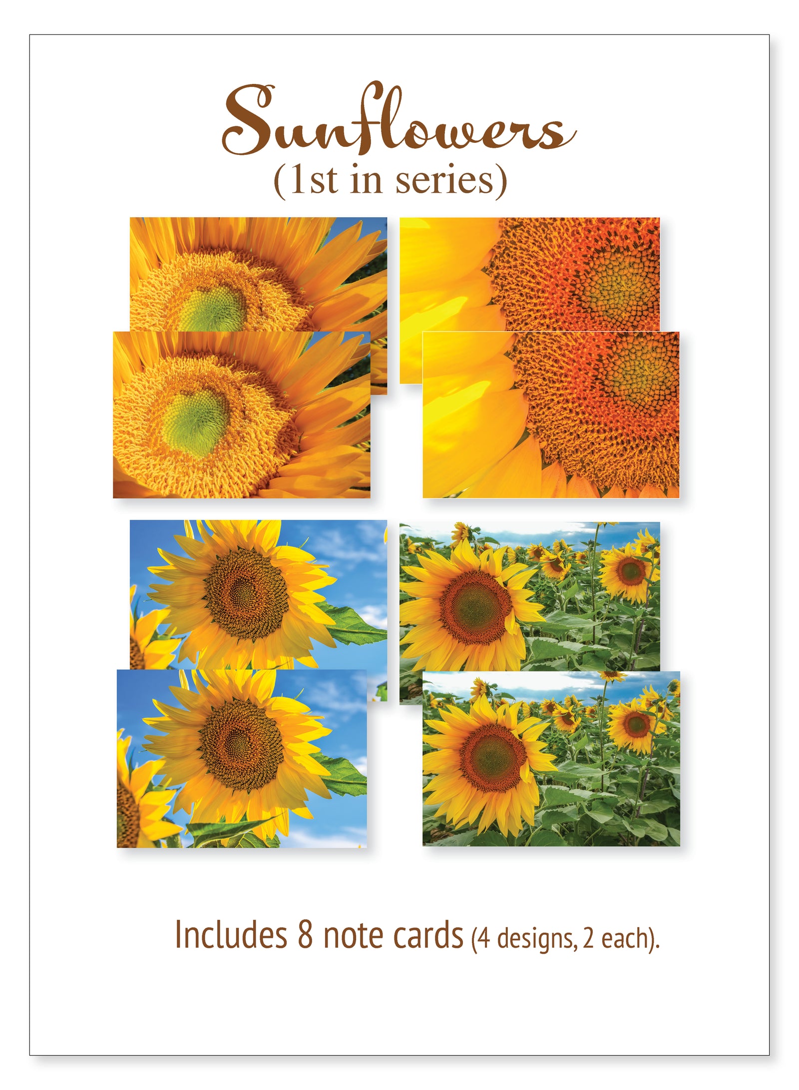 Boxed note cards: sunflowers (1st in series)