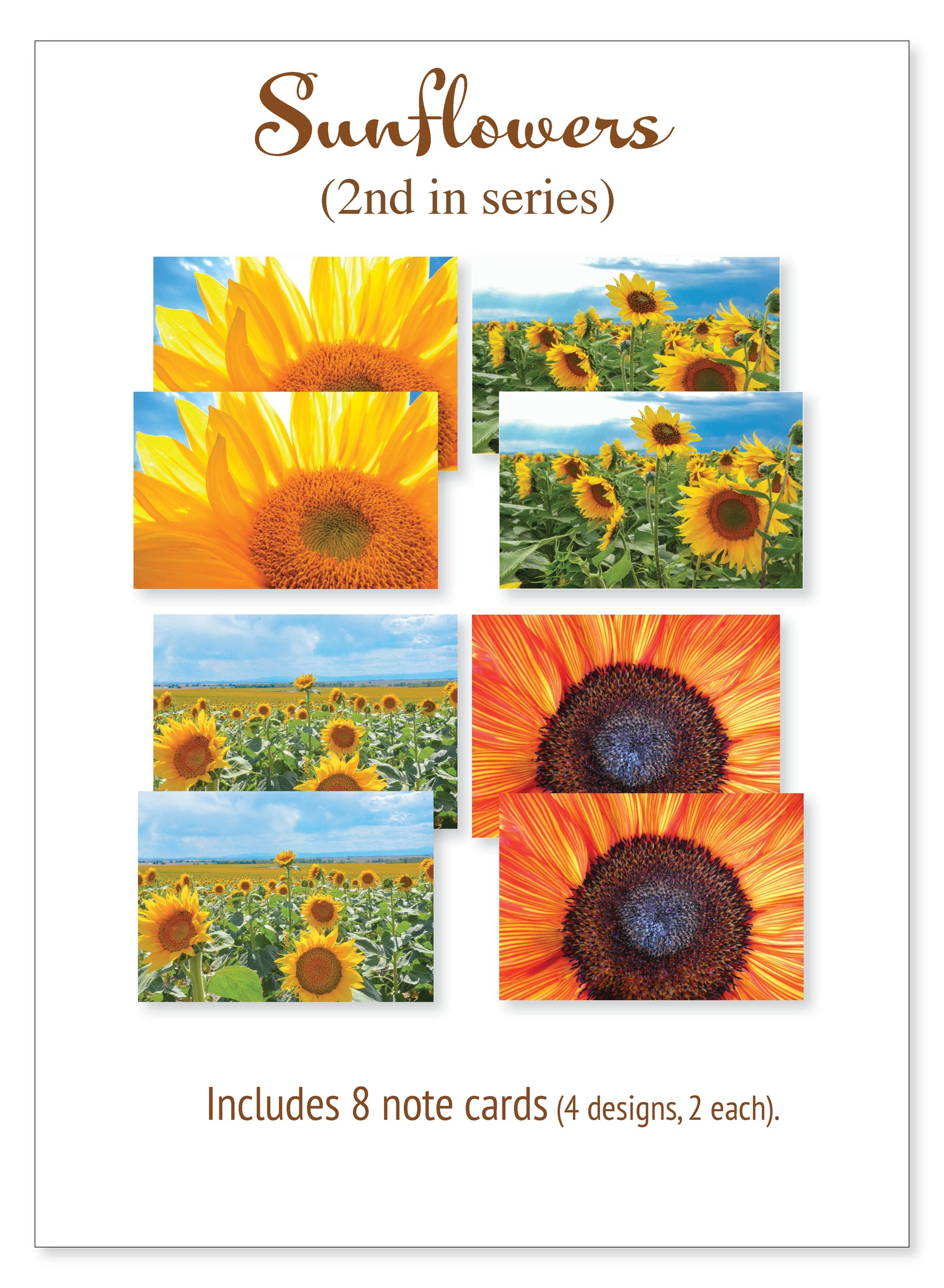 Boxed note cards: sunflowers (2nd in series)