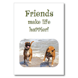 Boxed greeting cards: animals