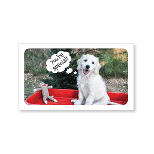 Boxed note cards: Valentine's Day (puppy red wagon)
