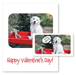 Boxed note cards: Valentine's Day (puppy red wagon)