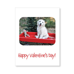 Boxed note cards: Valentine's Day (puppy red wagon)