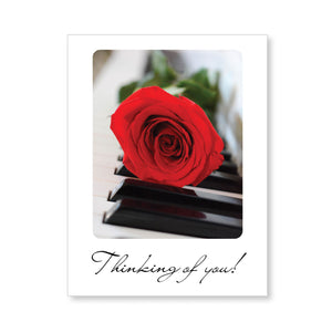 Boxed note cards: radiant red roses
