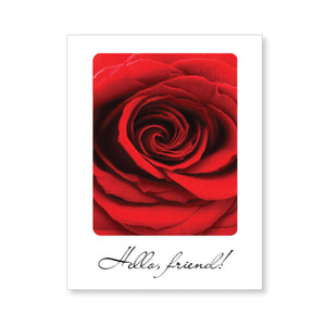 Boxed note cards: radiant red roses