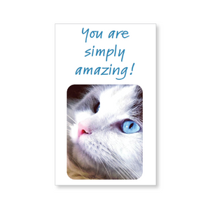 Mini lunch box buddies—You are simply amazing! (includes 10 mini cards)