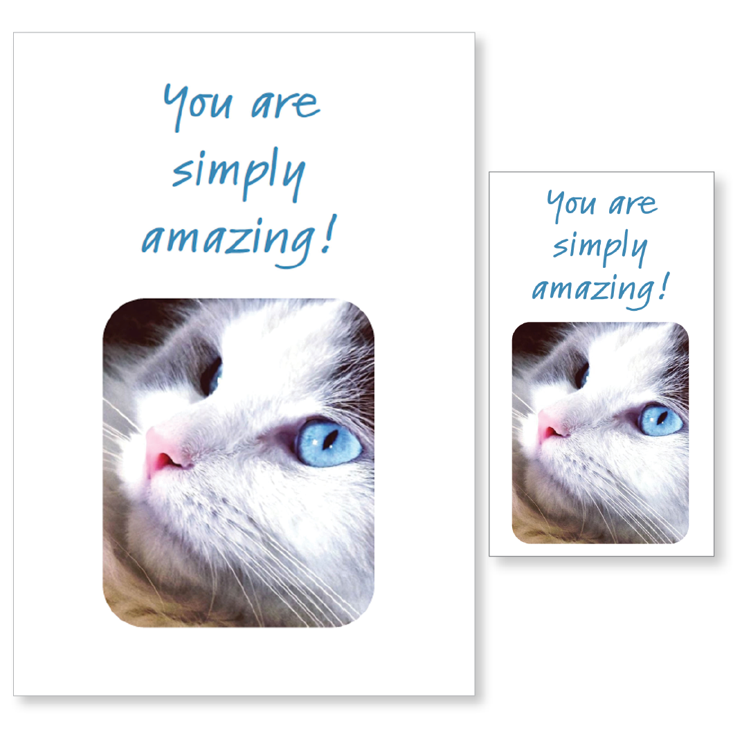 Birthday card, with coordinating mini card