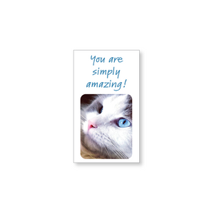 Birthday card, with coordinating mini card