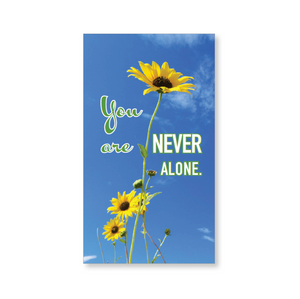 Mini blessings—You are never alone, with scripture (includes 10 mini cards)