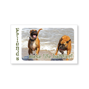 Mini lunch box buddies—Friends . . . make life happier! (includes 10 mini cards)