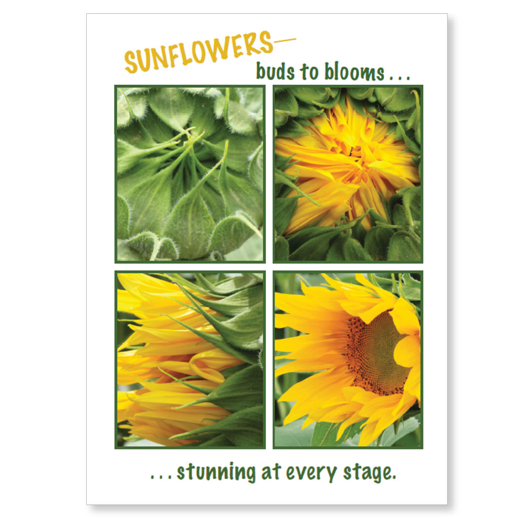 Inspirational card (blank inside)