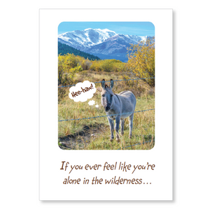 Boxed greeting cards: animals