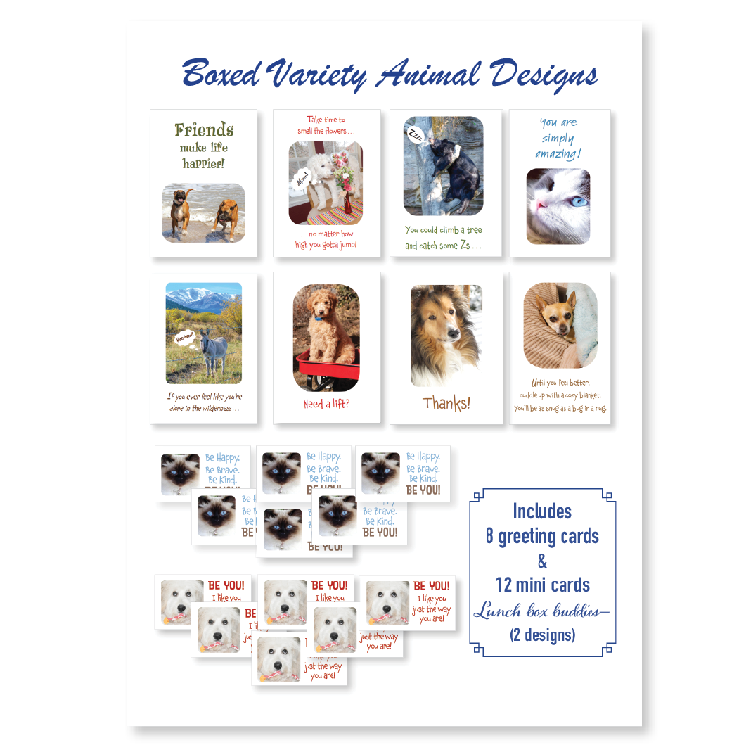 Boxed greeting cards: animals