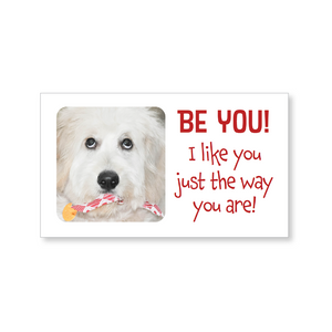 Boxed greeting cards: animals