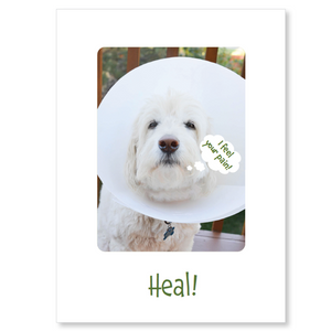 Get well card