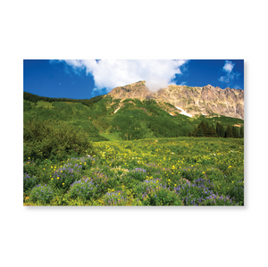 Boxed note cards: landscapes (1st in series)