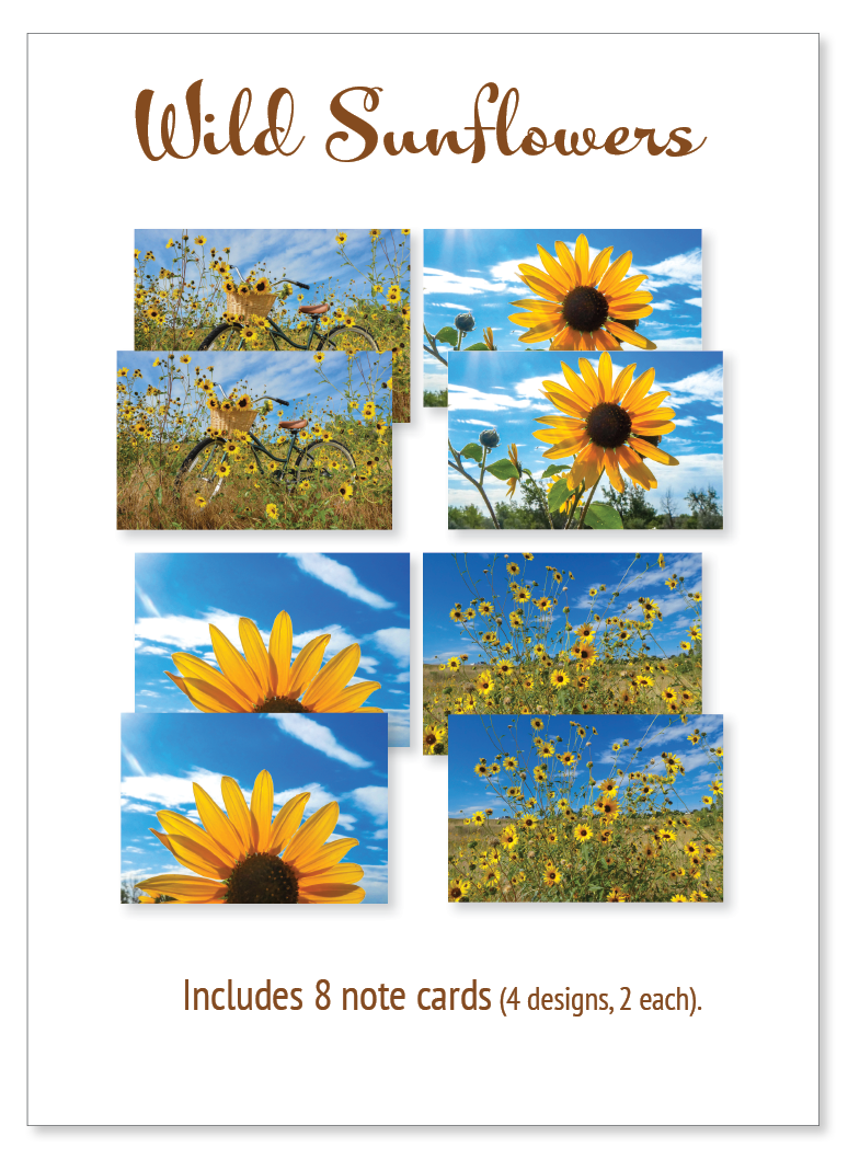 Boxed note cards: wild sunflowers