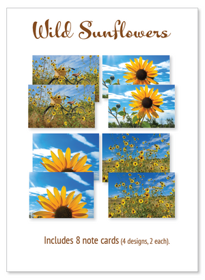 Boxed note cards: wild sunflowers