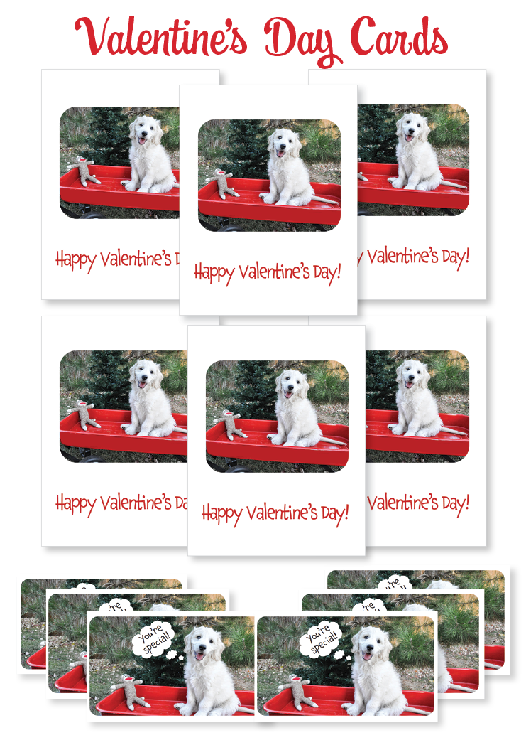 Boxed note cards: Valentine's Day (puppy red wagon)