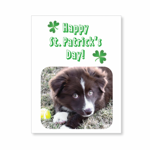 Boxed note cards: St. Patrick's Day