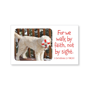 Mini lunch box buddies—We walk by faith, with scripture (includes 10 mini cards)