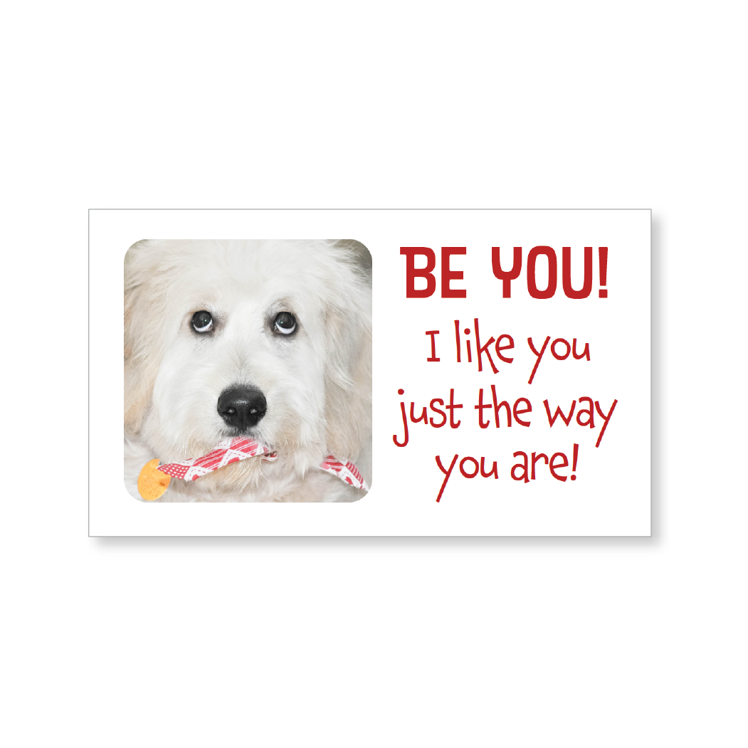 Mini lunch box buddies—BE YOU! (includes 10 mini cards)